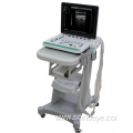 Laptop 15 inch screen ultrasound scanner